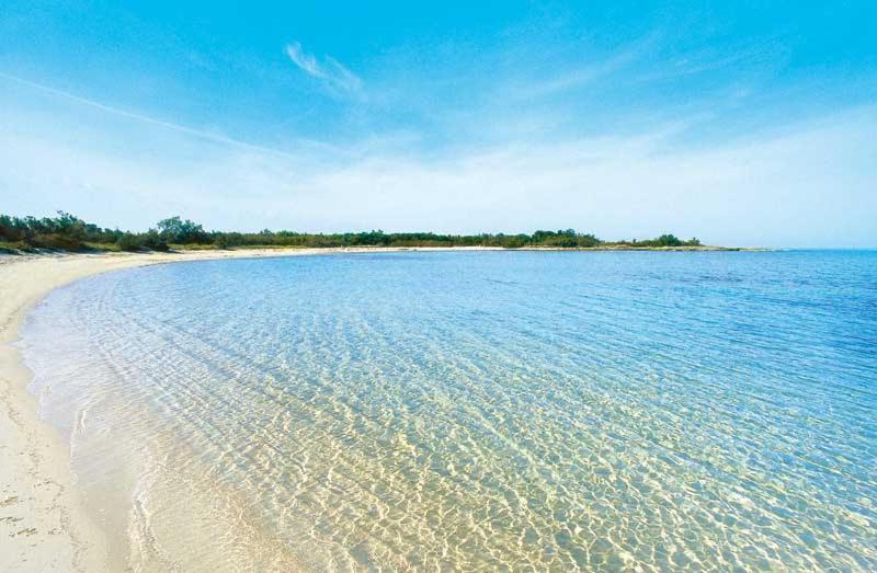 La Dimora Di Netta Villa Carovigno Buitenkant foto